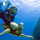 Mergulho Livre / Snorkeling