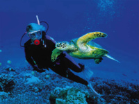 Mergulho Autônomo / Scuba Diving