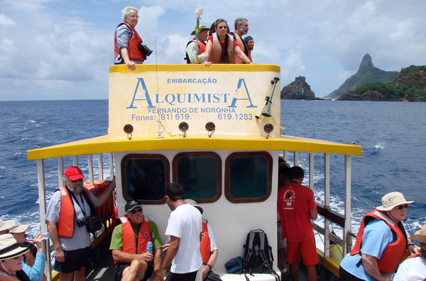 Observação de golfinhos a bordo da embarcação Alquimista