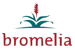 BROMELIA Consult logo web copy