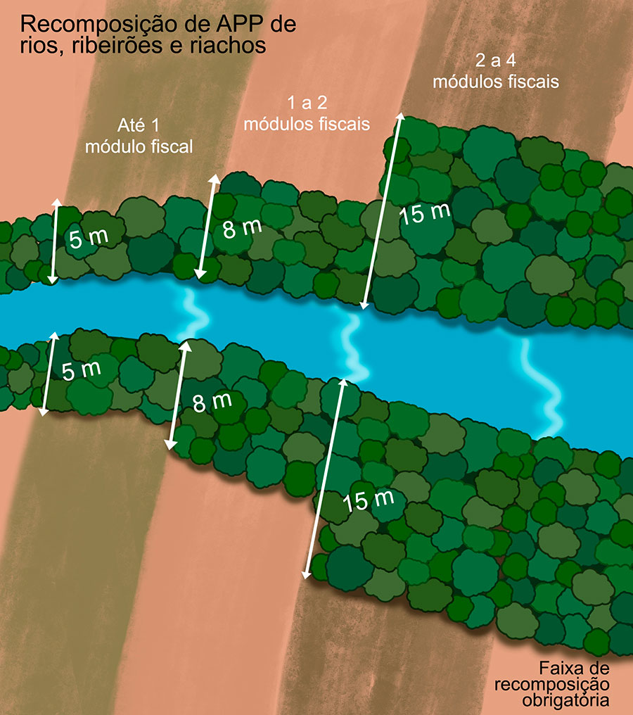 APP ilustracao recomposicao rios