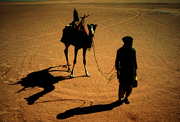 africa argelia tuareg silhueta