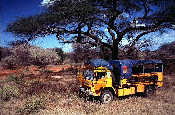 africa truck yellow