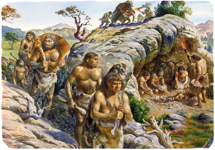 homo sapiens walking cooking