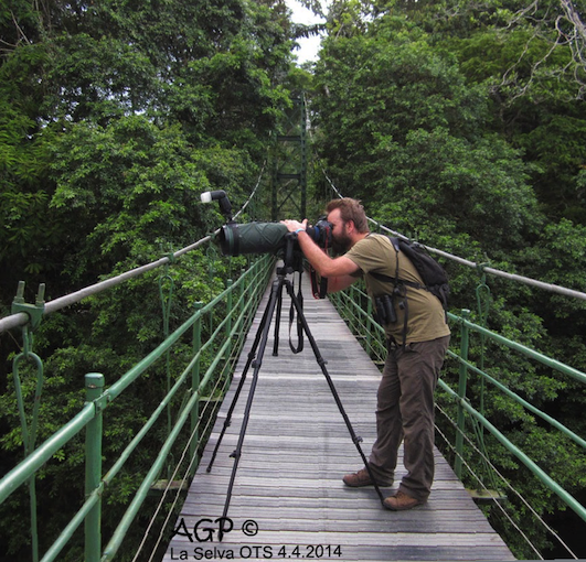 trilhas birder sobre ponte pensil la selva costa rica