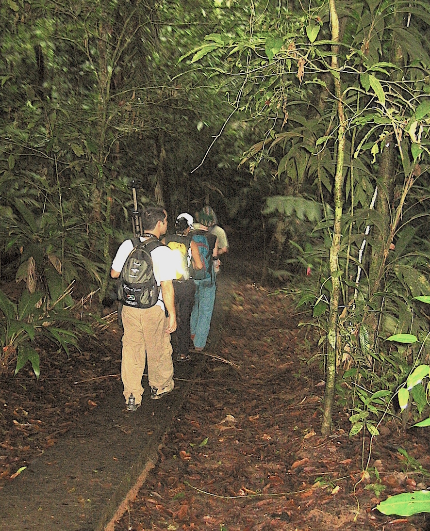 trilhas ecoturistas caminhando la selva costa rica