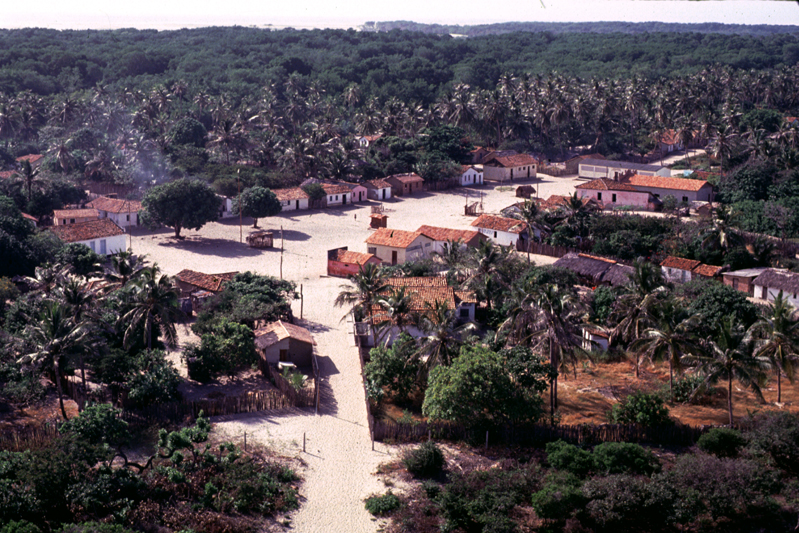 maranhao jun1993 mandacaru panoramica1
