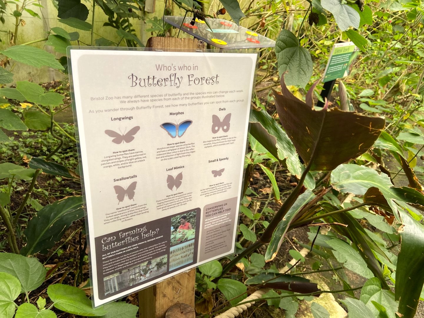 ecoparque butterfly bristol 6 placa