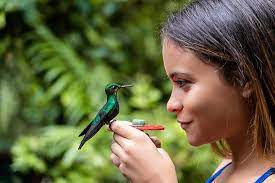 ecoparque colibri menina cara a cara