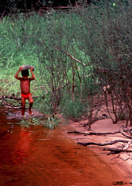 rio negro garoto na margem roberto mourao 2001