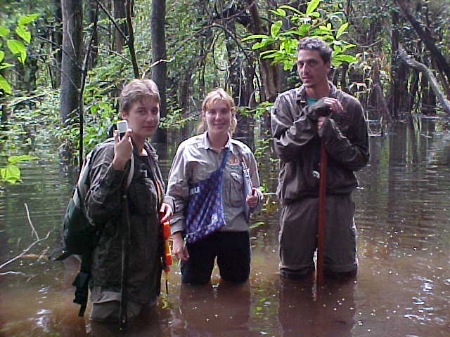 mpe mamiraua trilha varzea inundada abril2012