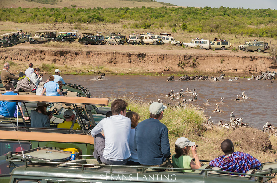 CCT turistas observando migracao masai mara frans lanting