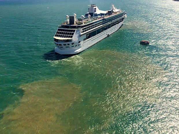 cruzeiros Splendor of Seas pollution cruise law news