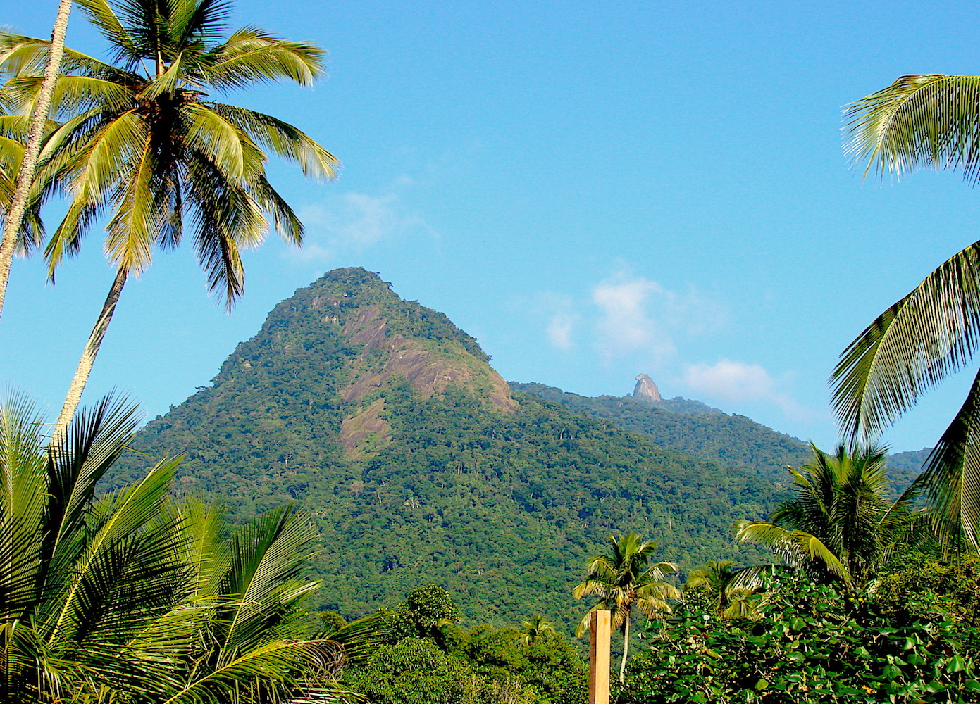 ilha grande pico do papagaio 2008