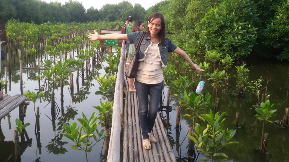 mangrove walkway visitor