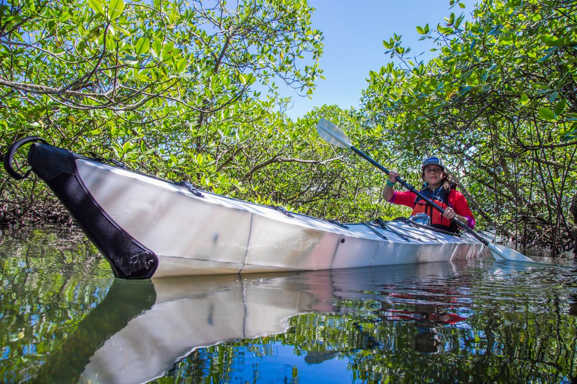mangrove caique becca skinner paddle panama