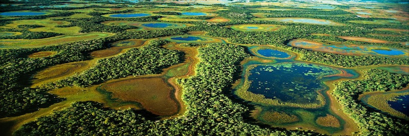 pnpm pantanal brazil ecotravel paisagem