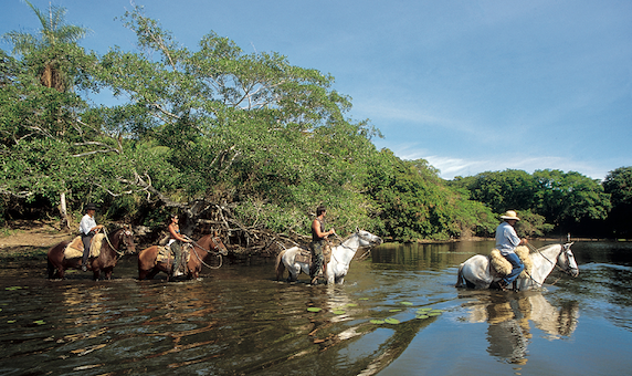 diretrizes pantanal cavalgada